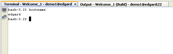 remotedev terminal