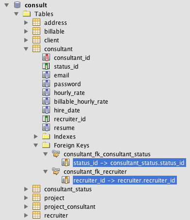 consultant fk