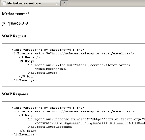 ws tester badschema